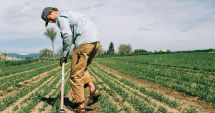 Stire din Economie : Banking, agricultură, producţie de cărbune. INFO economic