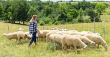 Stire din Economie : Bursă, comerţ, energie. INFO economic