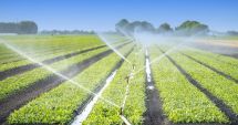 Stire din Economie : Fonduri de investiţii, agricultură, deficit bugetar. INFO economic