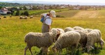 Stire din Economie : Piaţa de bunuri de larg consum, agricultură, cost orar al forţei de muncă. INFO economic