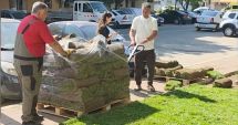 Stire din Social : Năvodari înverzește! Program de reabilitare urbană în toate cartierele