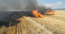Stire din Eveniment : O groapă de gunoi și un lan de grâu din comuna Cobadin au fost cuprinse de flăcări