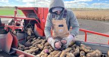 Stire din Economie : Banking, agricultură, inflaţie. INFO economic