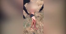 Stire din Eveniment : De necrezut! Un bărbat a fost ucis cu toporul de un necunoscut. Criminalul, împușcat de polițiști