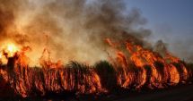 Stire din Actualitate : Un român și-a pierdut viața într-un incendiu devastator de vegetație, în Spania