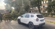 Stire din Eveniment : Copac prăbușit în zona Gării Constanța. Intervenție a pompierilor și polițiștilor