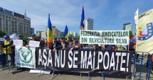 Stire din Economie : Silvicultorii protestează în faţa Ministerului Mediului. „Pădurile statului sunt în mare pericol!”