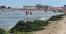Stire din Social : Vacanță printre alge! Plaja din Saturn, sufocată de vegetație marină