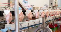 Stire din Economie : Banking, industrie alimentară, comerţ. INFO economic