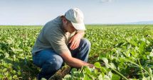 Stire din Economie : Finanţe, agricultură, turism. INFO economic