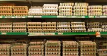 Stire din Actualitate : Ouă bio, comercializate în supermarketuri, retrase de la vânzare din cauza unui risc de Salmonella