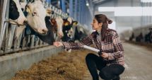 Stire din Economie : Inflaţie, agricultură, construcţii. INFO economic