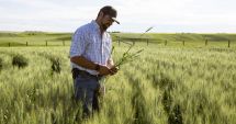 Stire din Economie : Bursă, agricultură, banking. INFO economic