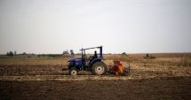 Stire din Economie : Agricultorii constănţeni invocă Divinitatea. „Până acum ne-am rugat să plouă, acum să mai stea!”