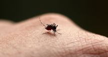 Stire din Actualitate : Un nou caz de West Nile în România. Un pacient este în stare gravă la ATI