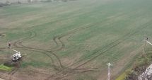 Stire din Actualitate : Rute de migrație mai sigure pentru păsări, în Delta Dunării
