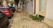 Stire din Social : O reclamație de mediu a blocat lucrările de pe strada General Manu din Constanța
