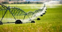Stire din Economie : Pe încasat! Milioane de lei în conturile unor companii constănțene care fac afaceri cu statul român
