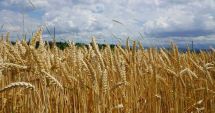 Stire din Economie : Cadastru, agricultură, datorie guvernamentală. INFO economic