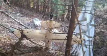 Stire din Eveniment : O dronă misterioasă a fost descoperită lângă o bază MApN