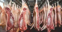 Stire din Economie : Bursă, producție de carne, banking. INFO economic