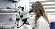 Stire din Social : Alertă pe litoral! Microplastice în șprot, midii și rapane