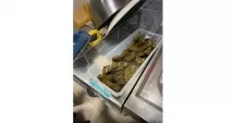 Stire din Social : Nereguli grave descoperite de Protecția Consumatorilor: insecte vii, mucegai și meniuri false