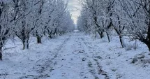 Stire din Economie : Tranzacții, agricultură, energie. INFO economic