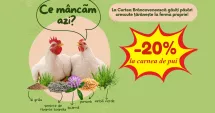 Stire din Social : De ce să tratezi o boală când o poți preveni?