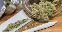 Stire din Eveniment : Trafic de droguri oprit pe A2. Peste 15 kg de canabis confiscate înainte de a ajunge pe litoral