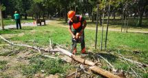 Stire din Social : Spațiile verzi din municipiul Constanța sunt îngrijite zilnic