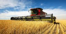 Stire din Economie : Fonduri europene, agricultură, bursă. INFO economic
