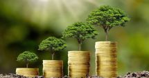 APIA primeşte cereri de plată aferente anului 2024 pentru schema referitoare la prima împădurire