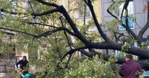 Stire din Economie : Asigurări: Peste 230 de daune avizate după furtunile de săptămâna trecută, din zona Dobrogei