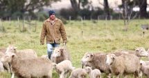 Stire din Economie : Numismatică, agricultură, turism. INFO economic