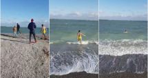Stire din Fun : A făcut baie în mare, de Bobotează