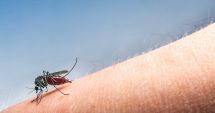 Stire din Social : Încă o persoană a murit din cauza infectării cu virusul West Nile