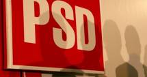 Stire din Politică-Administrație : Încă o demisie în PSD, după dezastrul din diaspora!