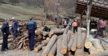 Stire din Eveniment : Tone de lemne, confiscate la graniță