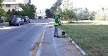 Stire din Social : Apel de la Primăria Constanța: "Nu mai aruncați gunoaie la întâmplare!"