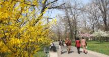 Stire din Social : Cum va fi vremea la Constanța, în următoarele două săptămâni