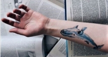 Stire din Social : "BALENA ALBASTRĂ". Ministerul Educației, circulară către toate instituțiile de învățământ