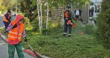 Stire din Social : Acţiuni intensificate, pentru întreţinerea spaţiilor verzi din municipiul Constanţa