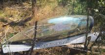 Stire din Actualitate : Germania / Avion de vânătoare american, prăbușit într-o pădure din Bavaria