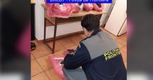 Stire din Eveniment : Galerie foto. CAPTURĂ DE OPIU, DE PESTE 1,5 MILIOANE DE EURO! Ce spune DIICOT