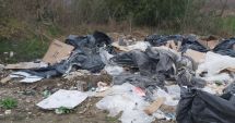 Stire din Social : Amenzi pe bandă rulantă, date de Poliția Locală Constanța. Ce nereguli au constatat oamenii legii