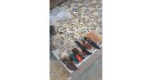 Stire din Eveniment : Cercetaţi pentru braconaj, contrabandă şi nerespectarea regimului armelor şi muniţiilor