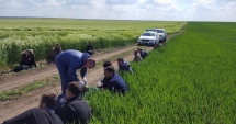 Stire din Eveniment : Trei bărbați arestați la Constanța pentru trafic de imigranți. 49 de persoane cer azil în România