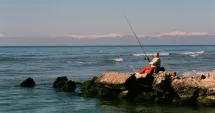 Stire din Social : Precizie chirurgicală: alegerea unor lansete feeder dedicate stilului method