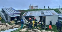 Stire din Eveniment : Noi informații despre camionul răsturnat la Năvodari. 160  de ovine au murit
